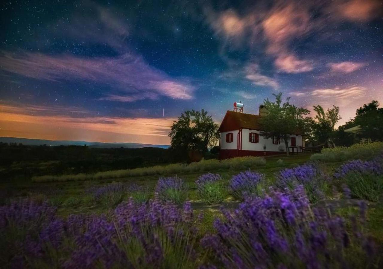Lavanda Carasova Crasova Екстер'єр фото