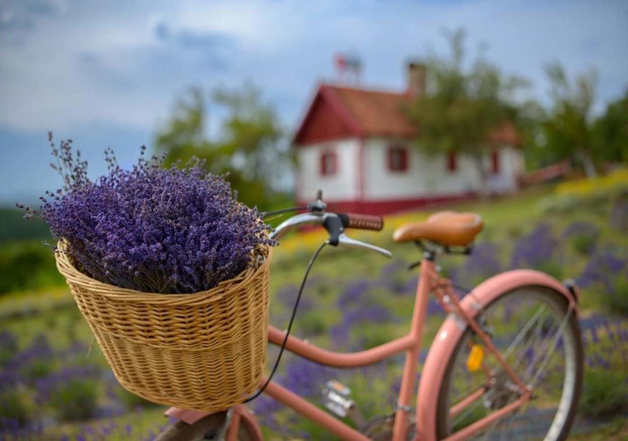 Lavanda Carasova Crasova Екстер'єр фото