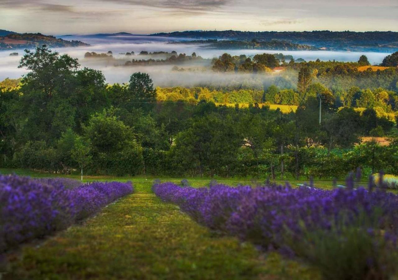 Lavanda Carasova Crasova Екстер'єр фото